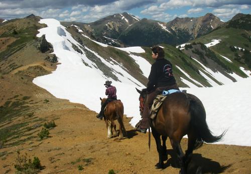 don't be afraid getting on a real mountain cayuse horse