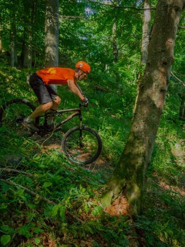 Langster singletrail deutschland