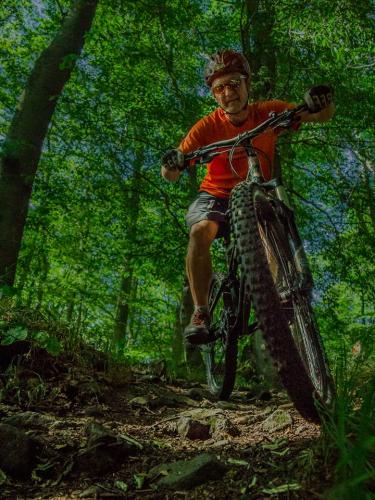 Langster singletrail deutschland