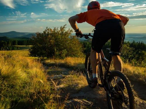 Langster singletrail deutschland